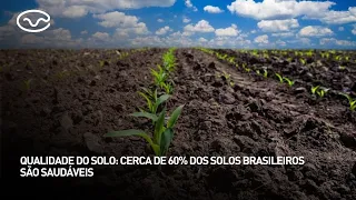 Soil quality: about 60% of Brazilian soils are healthy