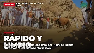 Rápido y limpio: segundo encierro del Pilón de Falces 2026