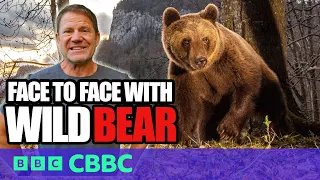What happened when I came Face-to-Face with a Wild Brown Bear?' 🐻 | Deadly 60 | CBBC