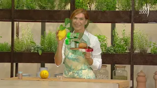 Next Up, Dinner's Ready! (TV2000) - How to store lemons?