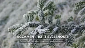 Egzamen - ispit svjesnosti (6)