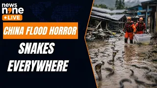 China Floods: 900 Snakes, Including Cobras, Escape After Snake Farm Washed Away | News9