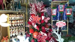 Amir, Flores y Eventos announces Christmas Fair with home discounts