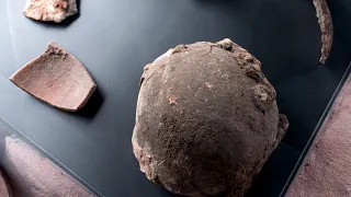 Uruguay, Tierra de Gigantes
