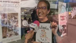 PERRITOS Y GATITOS BUSCAN HOGAR: LA LABOR SILENCIOSA DE ONG BIGOTES CALLEJEROS