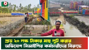 প্রায় ২০ লক্ষ টাকার মাছ লুট করার অভিযোগ সিআইপির কর্মচারীদের বিরুদ্ধে | Fish Loot | Cip Corruption