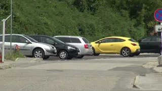 Plin v Mariboru dražji
