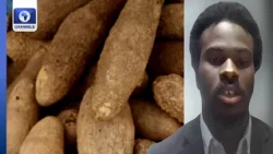 Yam Prices Ease In Nigeria As Supply Improves