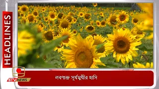 লবণাক্ত সূর্যমুখীর হাসি