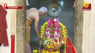 அருள்மிகு காசி விஸ்வநாதர் திருக்கோயில் பிரதோஷ பூஜை | Bhakthi News