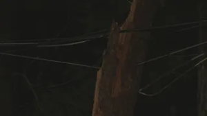 Outages remain in Arnold as storm moves in