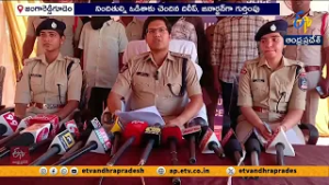 598 Kg Ganja Seized in Jeelugumilli, Two Arrested