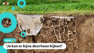 Dutchman wins prize for underwear research