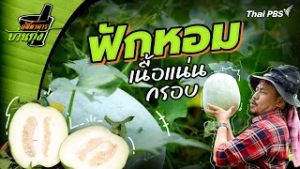 ฟักหอม | ภัตตาคารบ้านทุ่ง