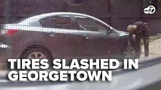 Tires slashed on several vehicles in Georgetown neighborhood caught on camera