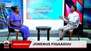 Анаадхуфу ||  Жанинеус Фикаду