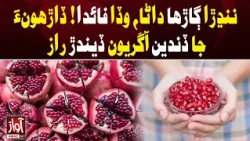 Pomegranate Seeds: Small Bites, Big Benefits! | Awaz TV News