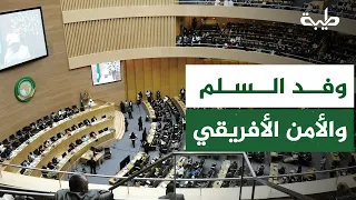 Hassan Ismail: The Timing of the African Union Peace and Security Council Delegation's Visit