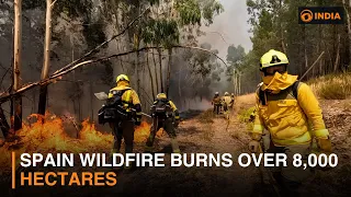 Spain wildfire burns over 8,000 hectares
