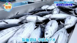 Catch-up Stream [Look For! Miyagi] The Allure of Kesennuma City, Miyagi Prefecture: The Fish Mark...