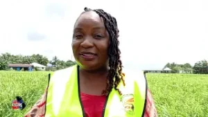 LNTV REPORT ON MINISTRY OF AGRICULTURE ERPO PROJECT