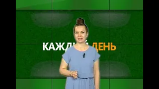 Every Day (Rika TV) for August 19, 2026