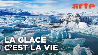 Pourquoi il est vital de protéger nos glaciers | Avec Heidi Sevestre, glaciologue | ARTE
