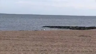 Connecticut shoreline getting ready for nor'easter