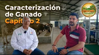 SIEMBRA Y CRÍA - CARACTERIZACIÓN DE GANADO / CAPÍTULO 2