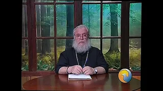 11 Cartas al director