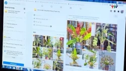 Bùng nổ livestream bán hàng, cần tăng cường bảo vệ người tiêu dùng