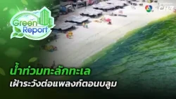 Floodwaters Surge into the Sea: Vigilance Required for Plankton Blooms | Green Report