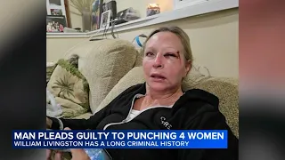 Man pleads guilty in downtown Chicago punching cases