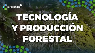 ConCiencia: Technology and forest production