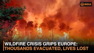 Europe Wildfires: Deadly Blazes Rage Across Greece, Spain, Belgium & France
