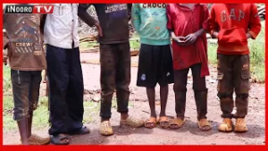 Ciana ciũrũraga Maragua gũtarĩria ũrĩa ciaingatirwo cukuru nĩũndũ wa mbeca cia igeranio