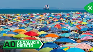 0000161103___andalucia_directo-20260806_1800_0000