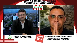 LUCAS MONZON - Fundacion Refugio Salvaje - MONITOS CARAYÁ EN LA CIUDAD DE RESISTENCIA