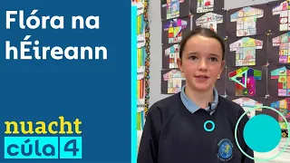 Nuacht Cúla4 | Flóra na hÉireann 🌱