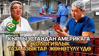 Eco-friendly products are being shipped from Kyrgyzstan to America // CHARBAKER show
