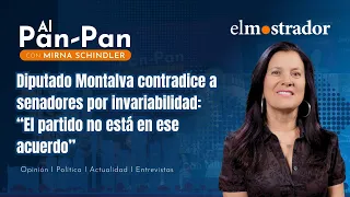 Deputy Montalva contradicts senators over tax invariability: "The party is not part of that agree...
