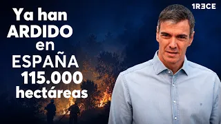 "The Fire Triangle": "The Guadalajara wildfire is equivalent to 500 atomic bombs like Hiroshima"