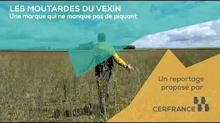 PAGR 53 VEXIN MUSTARD V3