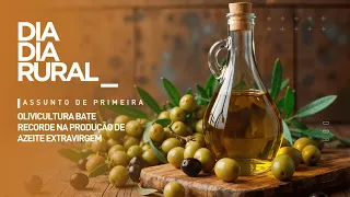 Olive Growing Hits Record High in Extra Virgin Olive Oil Production