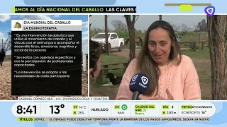 🇦🇷🐎 CELEBRATING NATIONAL HORSE DAY AHEAD OF TIME