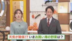 「野菜が高い！」それはなぜ？　天気と野菜の値段の関係を気象予報士の米津さんが解説　山梨