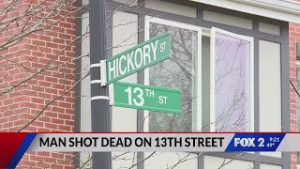 Man shot, killed Saturday morning in south St. Louis