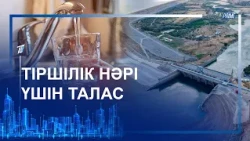 ТІРШІЛІК НӘРІ ҮШІН ТАЛАС
