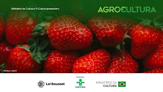 Agrocultura | Strawberries, Coffee Bloom, and Succulents: How to Optimize Profits in the Field | ...