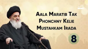 Aala Maratib Tak Pahuchne Ke liye Mustakam Irada| Ayatollah Sayyid Sadiq Hussaini Shirazi Ke Bayanat